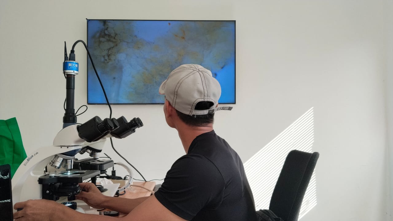 Standar Baru Pemeriksaan Benur : Visualisasi 4K dan Pengukuran Mikro