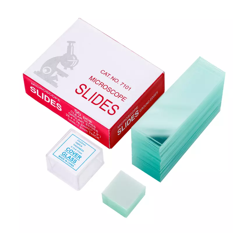 Microscope Slides and Cover Glass